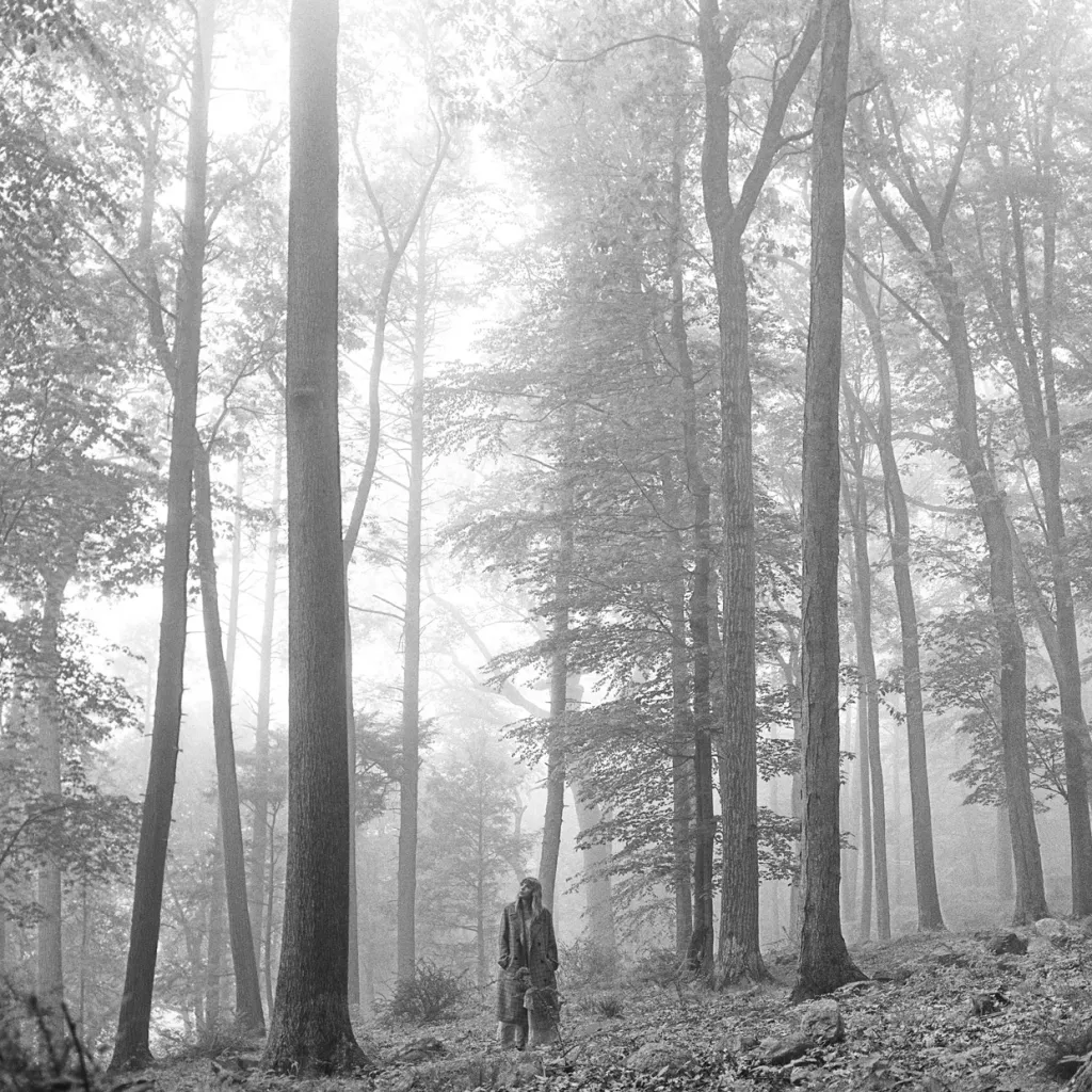 The folklore album cover